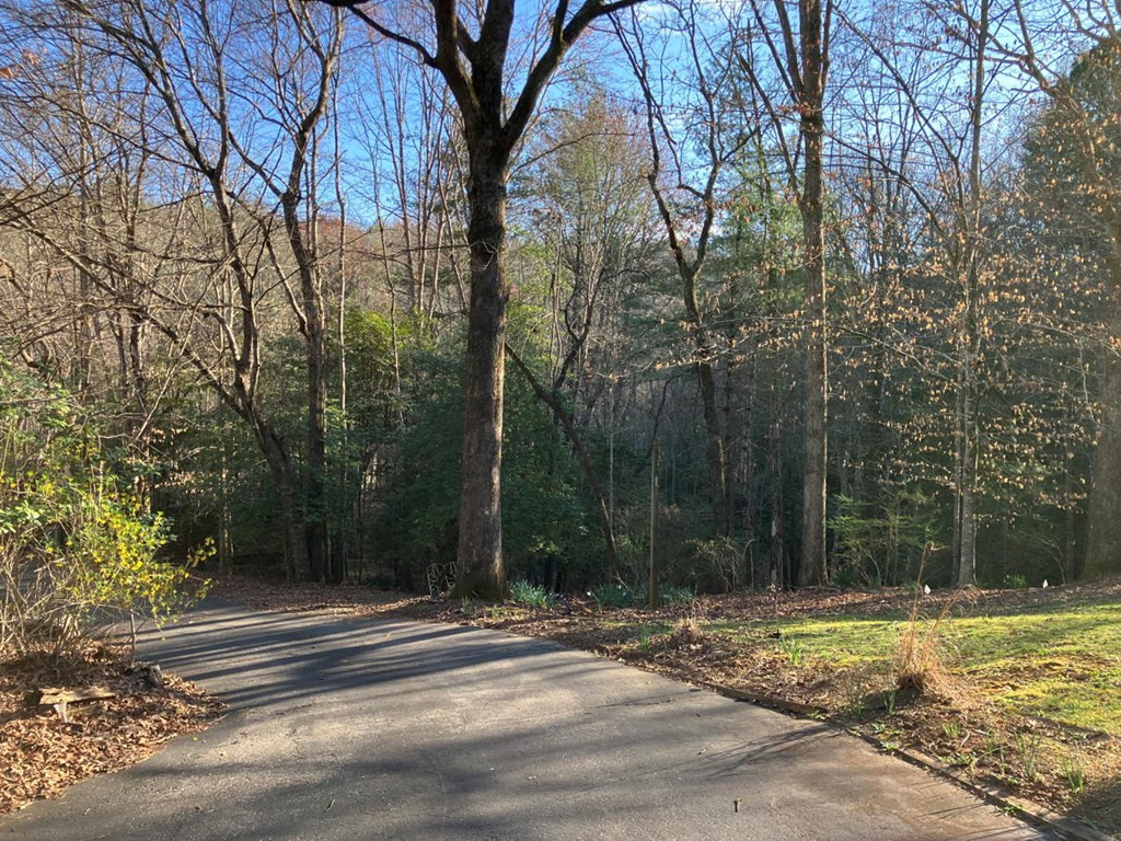 67 Hundred Acre Woods Drive Property Photo 31