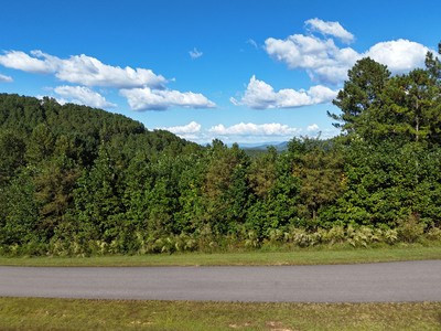 Lot 55 55 Thirteen Hundred Property Photo 4