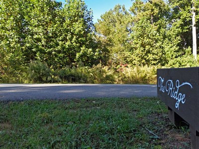 Lot 55 55 Thirteen Hundred Property Photo 8