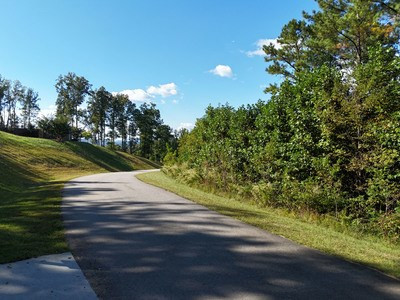 Lot 55 55 Thirteen Hundred Property Photo 15