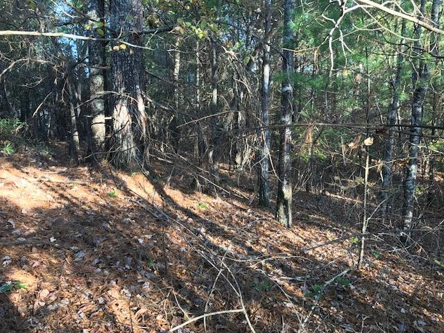 19d&e 19d&e Braves Landing Property Photo 2