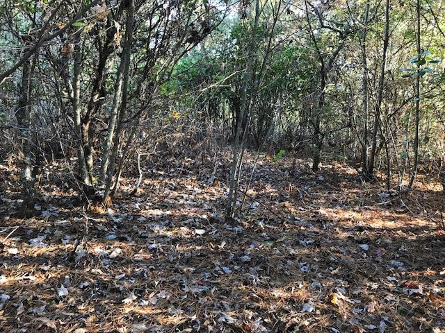 19d&e 19d&e Braves Landing Property Photo 3