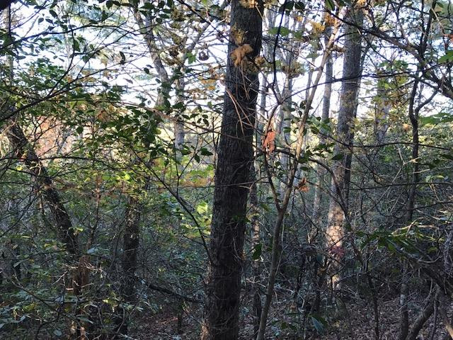19d&e 19d&e Braves Landing Property Photo 4
