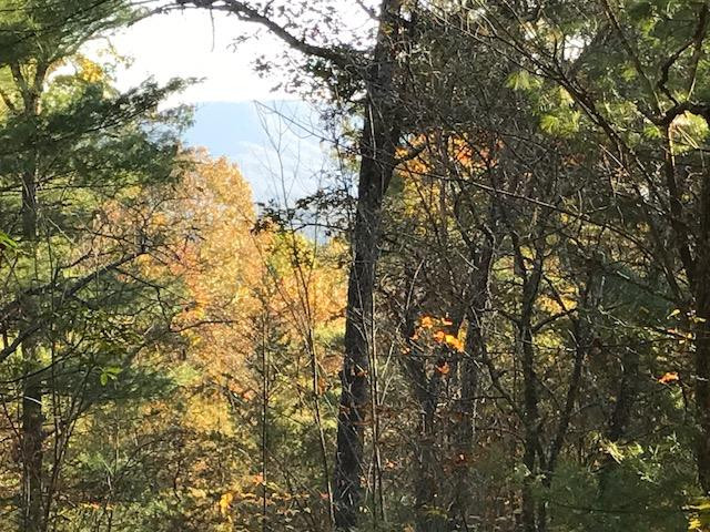 19d&e 19d&e Braves Landing Property Photo 6