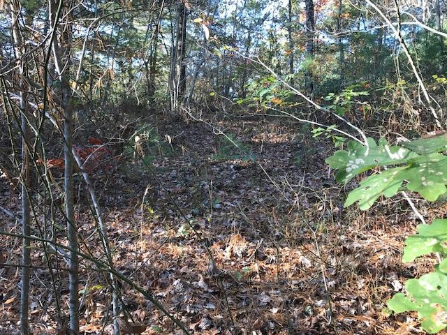 19d&e 19d&e Braves Landing Property Photo 7