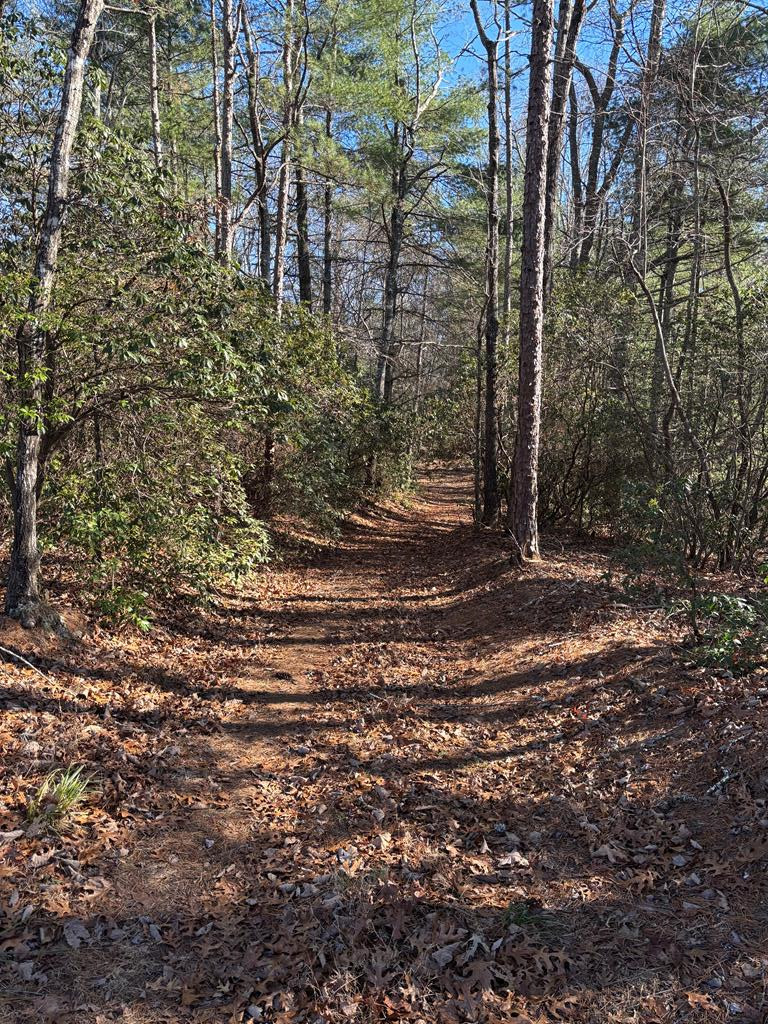 Lot 61 61 Thundering Hill Property Photo 1