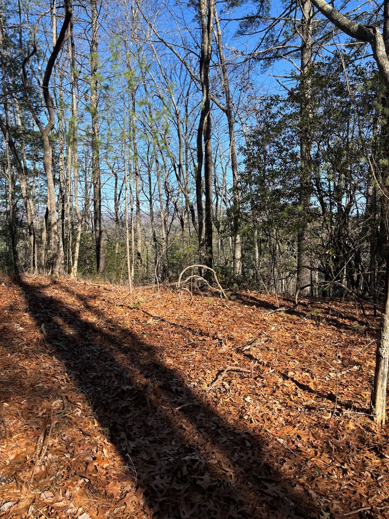 Lot 61 61 Thundering Hill Property Photo 2