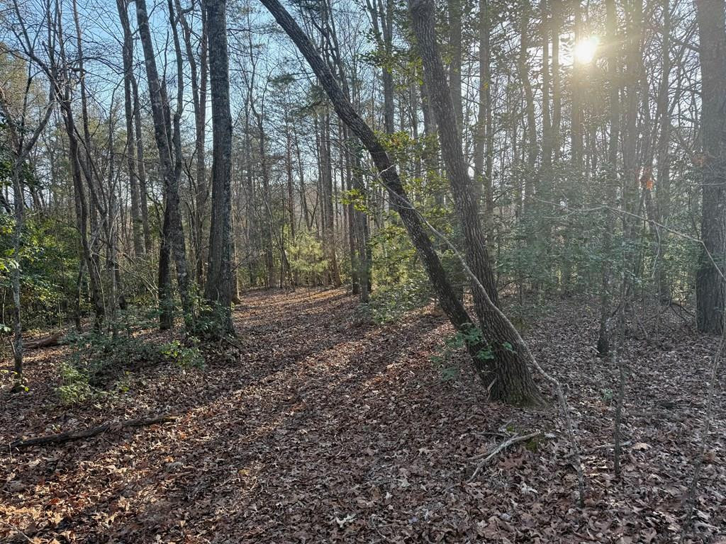 Lot 3 10B-3 Willow Ridge Property Photo 1
