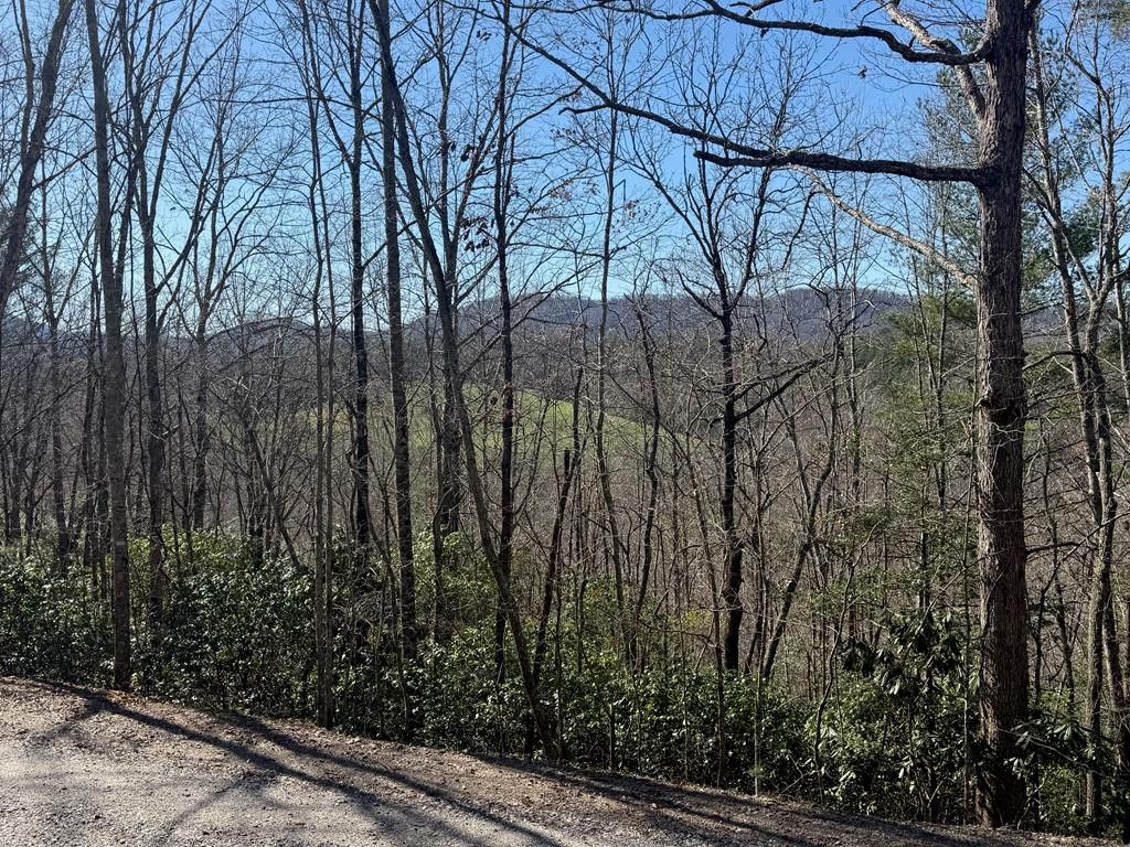 Lot 3 10b-3 Willow Ridge Property Photo 2