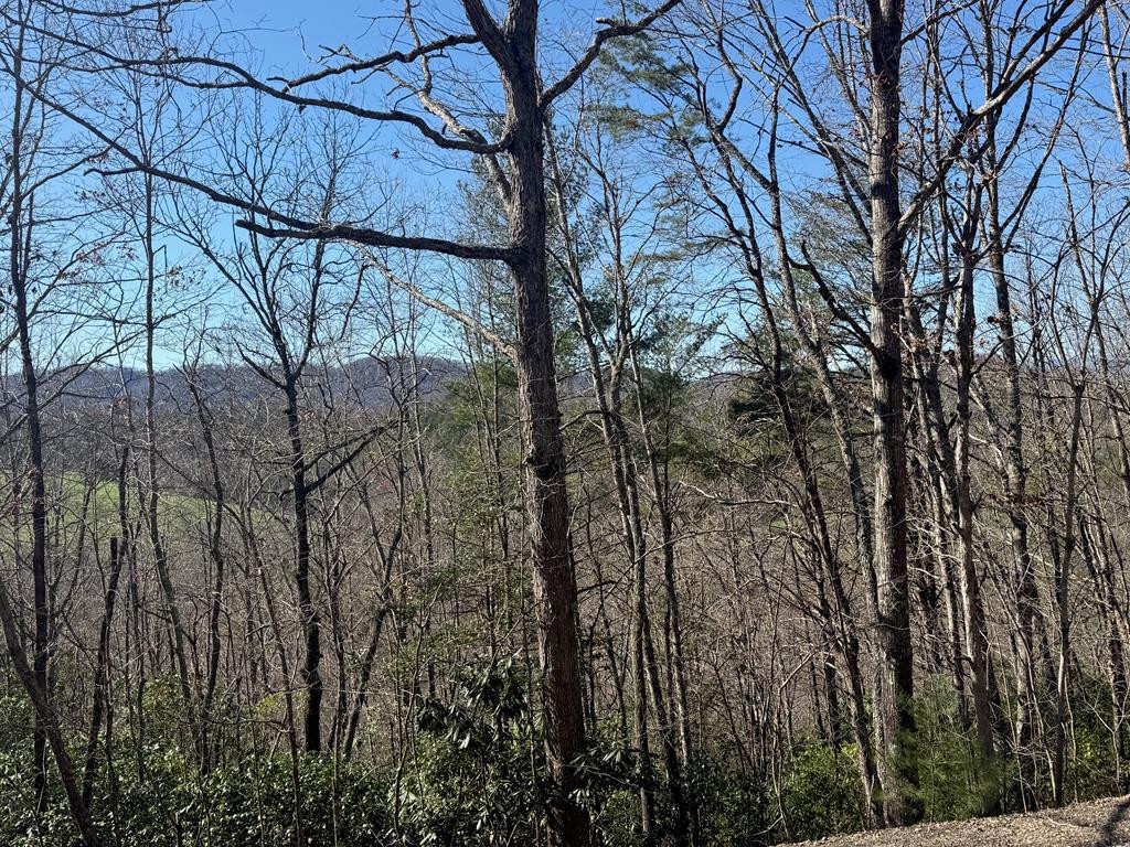 Lot 3 10b-3 Willow Ridge Property Photo 3