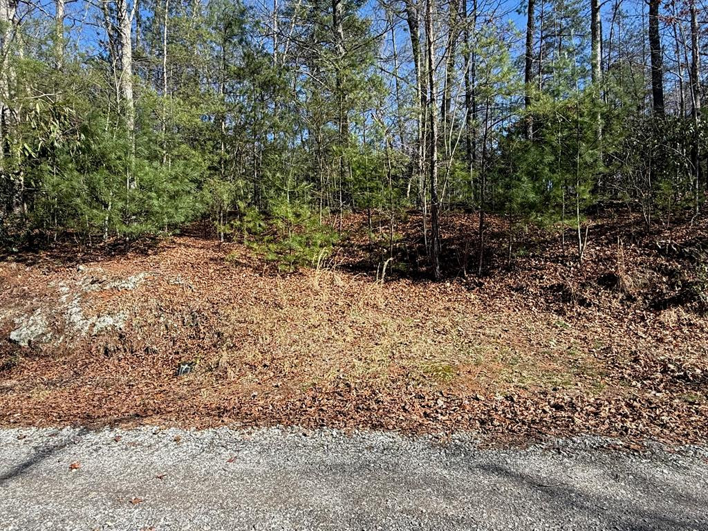Lot 3 10b-3 Willow Ridge Property Photo 4