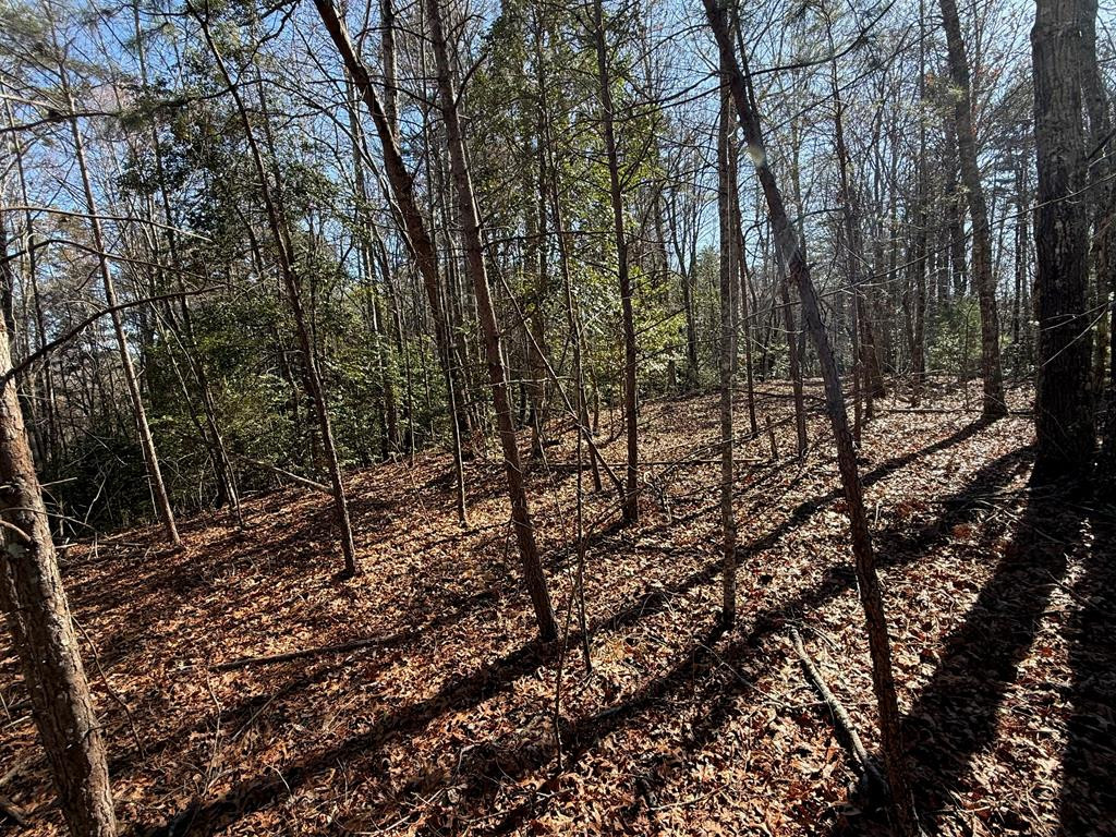 Lot 3 10b-3 Willow Ridge Property Photo 13