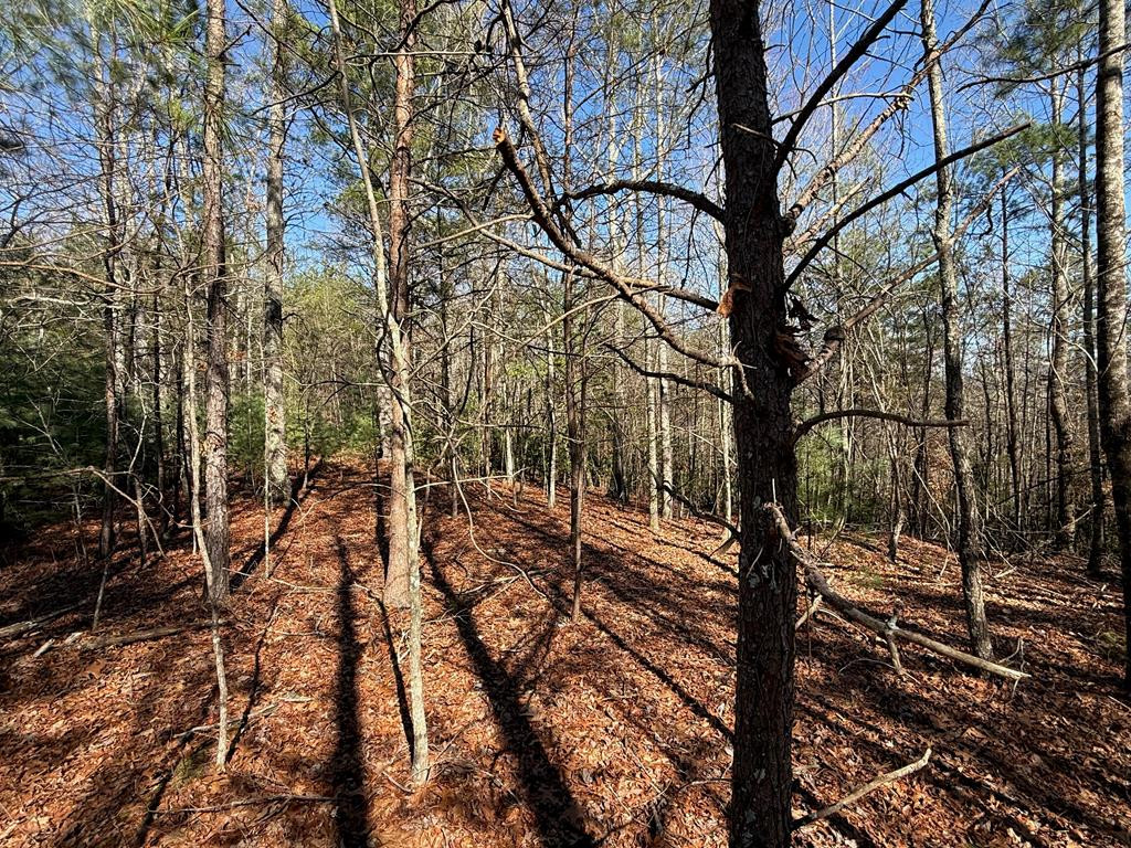 Lot 3 10b-3 Willow Ridge Property Photo 14