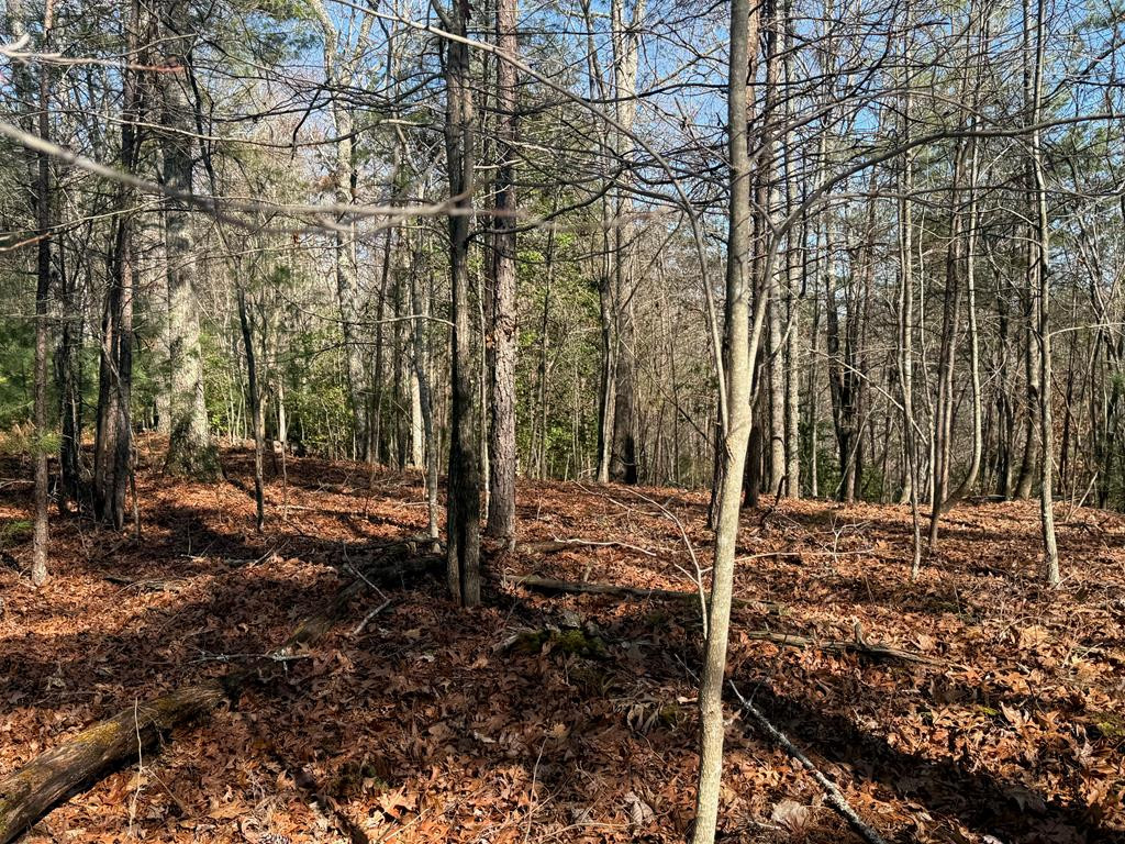 Lot 3 10b-3 Willow Ridge Property Photo 15