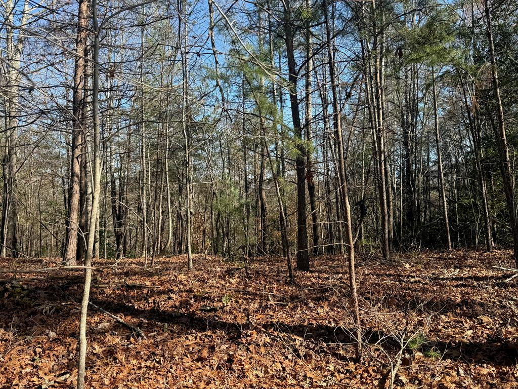 Lot 3 10b-3 Willow Ridge Property Photo 16