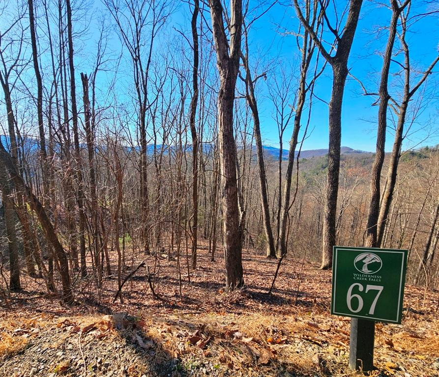 Lot 67 67 Wilderness Creek Way Property Photo 1