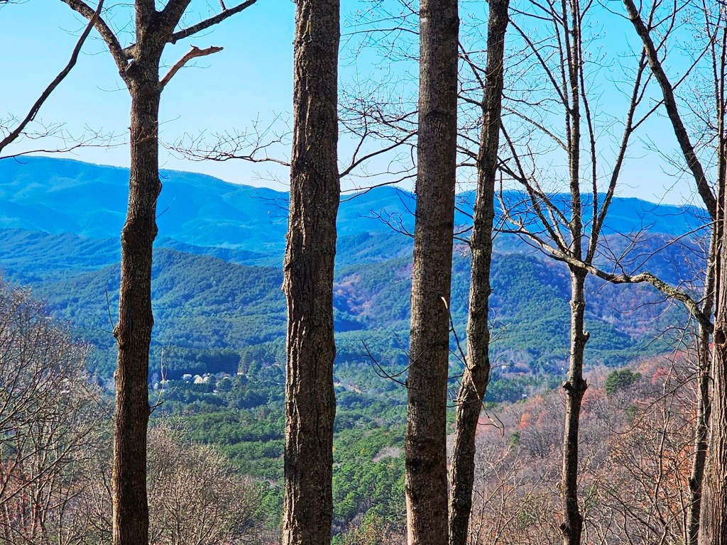 Lot 67 67 Wilderness Creek Way Property Photo 2