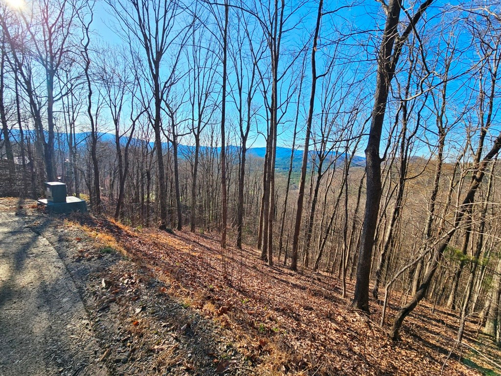 Lot 67 67 Wilderness Creek Way Property Photo 7