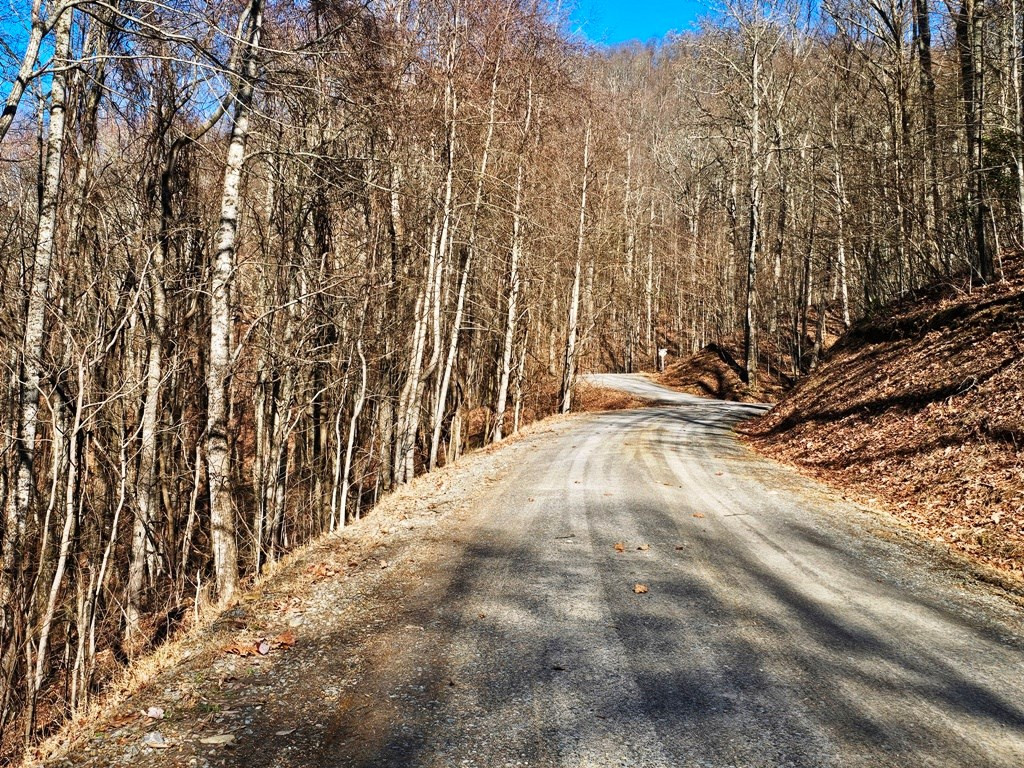 Lot 67 67 Wilderness Creek Way Property Photo 8