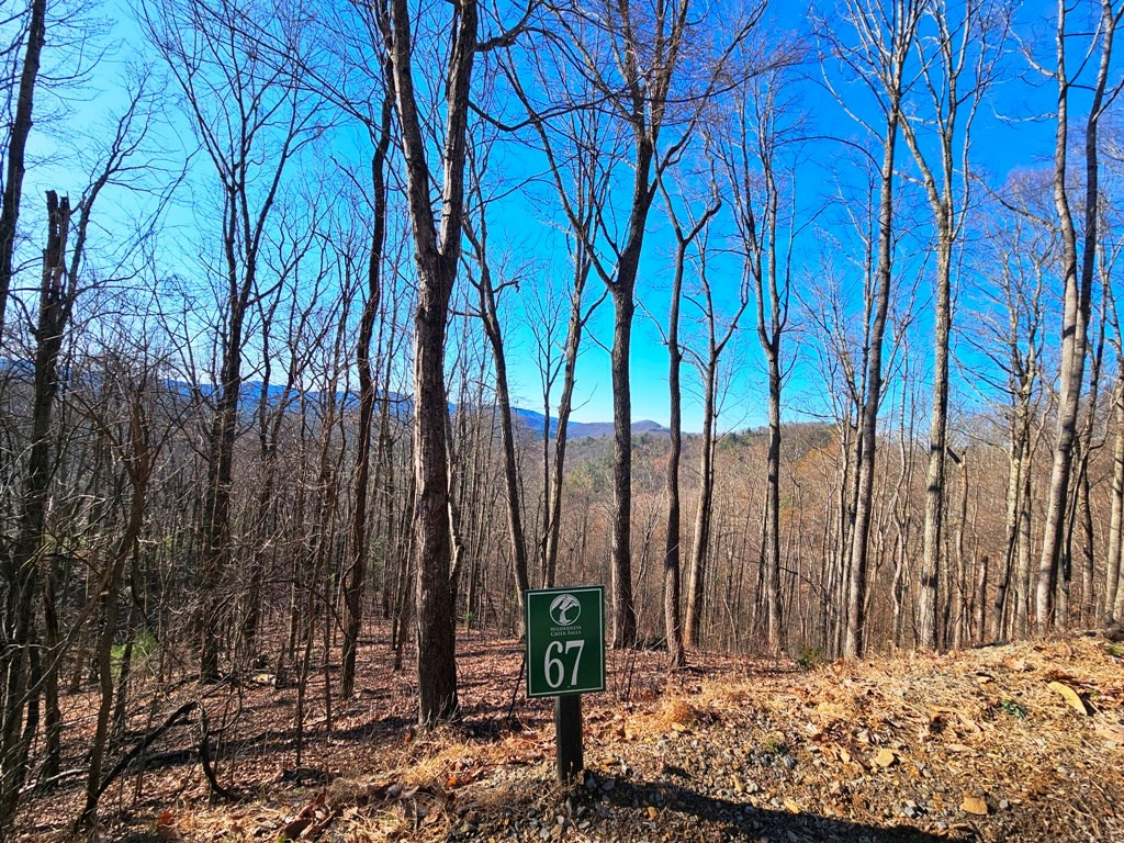 Lot 67 67 Wilderness Creek Way Property Photo 9