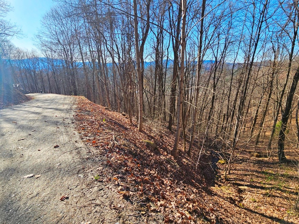 Lot 67 67 Wilderness Creek Way Property Photo 10