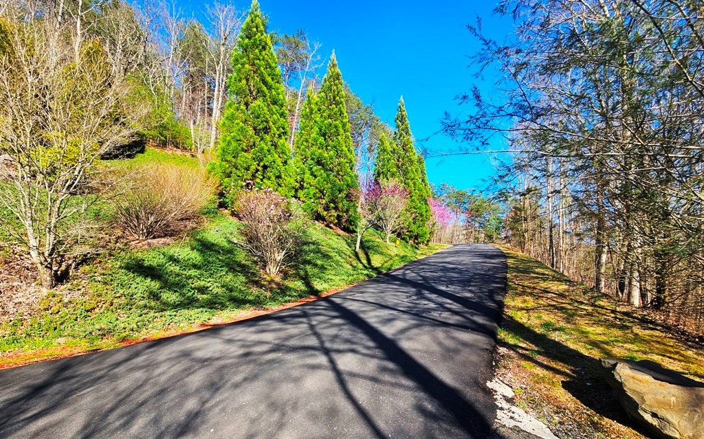 Lot 67 67 Wilderness Creek Way Property Photo 13