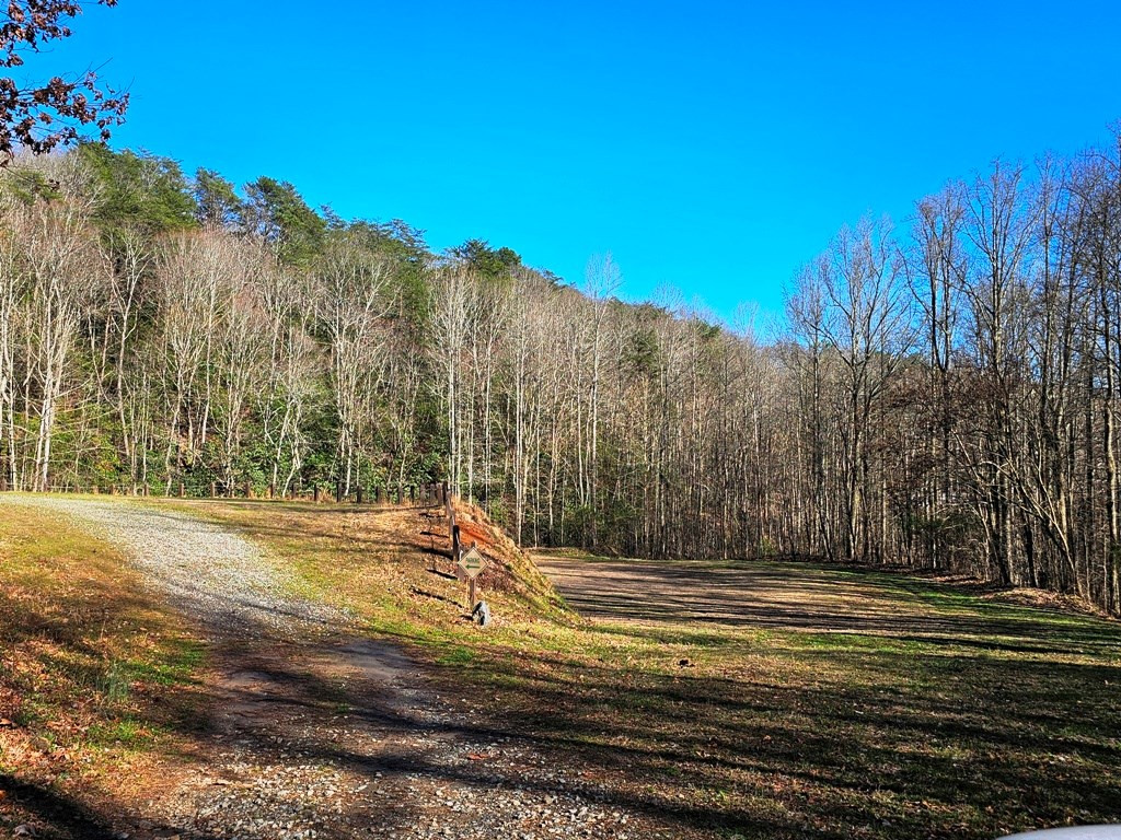 Lot 67 67 Wilderness Creek Way Property Photo 15
