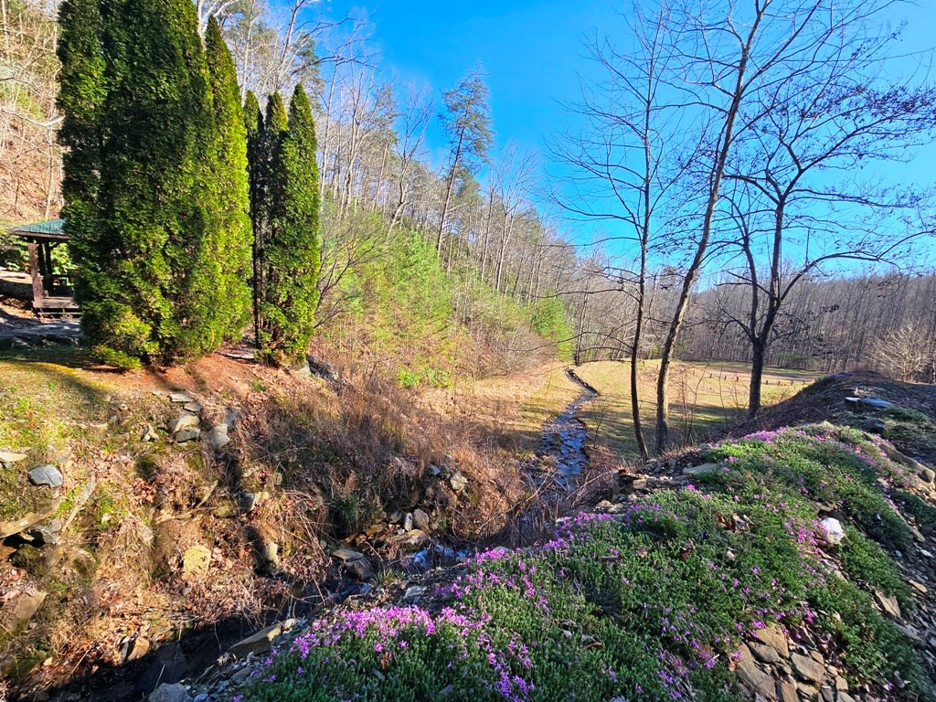 Lot 67 67 Wilderness Creek Way Property Photo 20