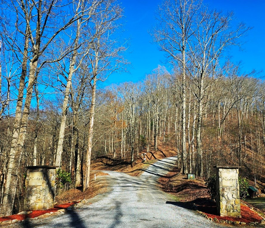 Lot 67 67 Wilderness Creek Way Property Photo 24