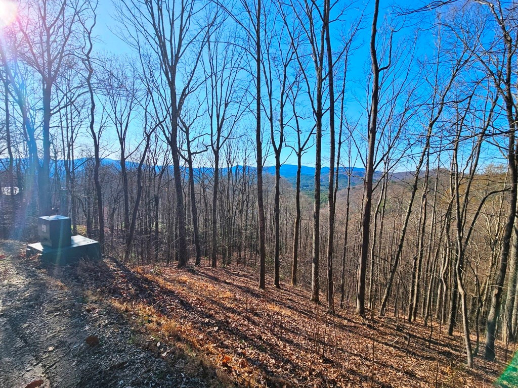 Lot 67 67 Wilderness Creek Way Property Photo 25