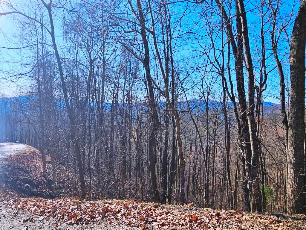 Lot 67 67 Wilderness Creek Way Property Photo 26