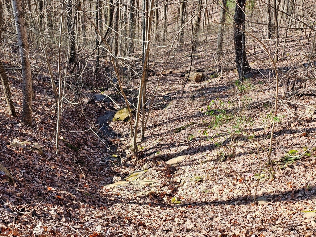Lot 67 67 Wilderness Creek Way Property Photo 27