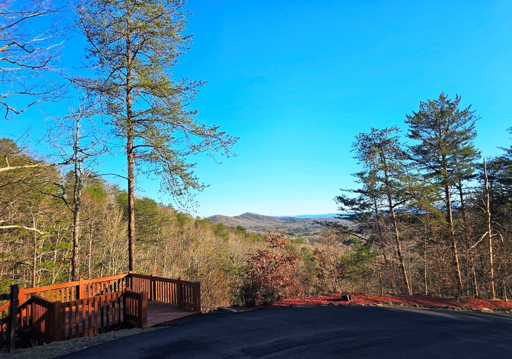 Lot 67 67 Wilderness Creek Way Property Photo 28