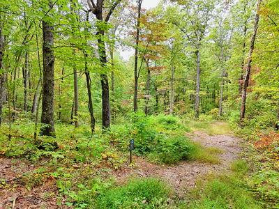 Lot 30 30 Skyview Drive Property Photo 1