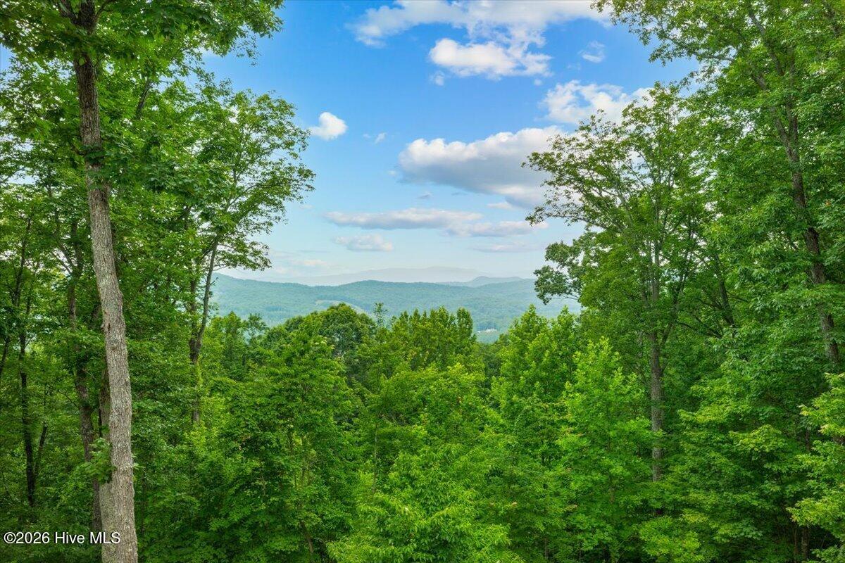 1706 Deer Valley Drive Property Photo 8