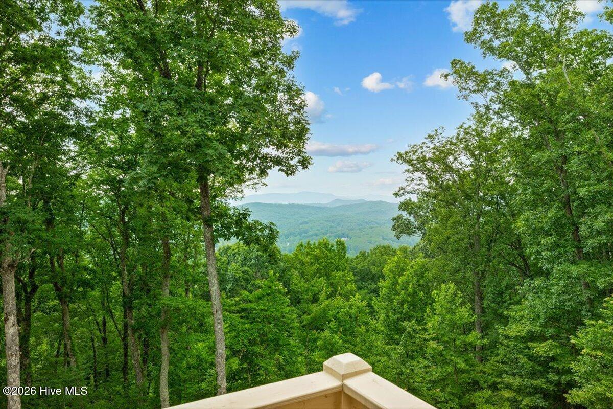1706 Deer Valley Drive Property Photo 9
