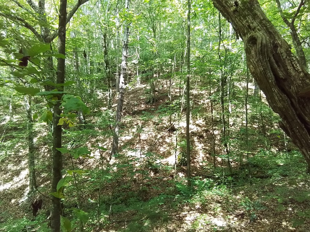 1378s Morrow Road Property Photo 11