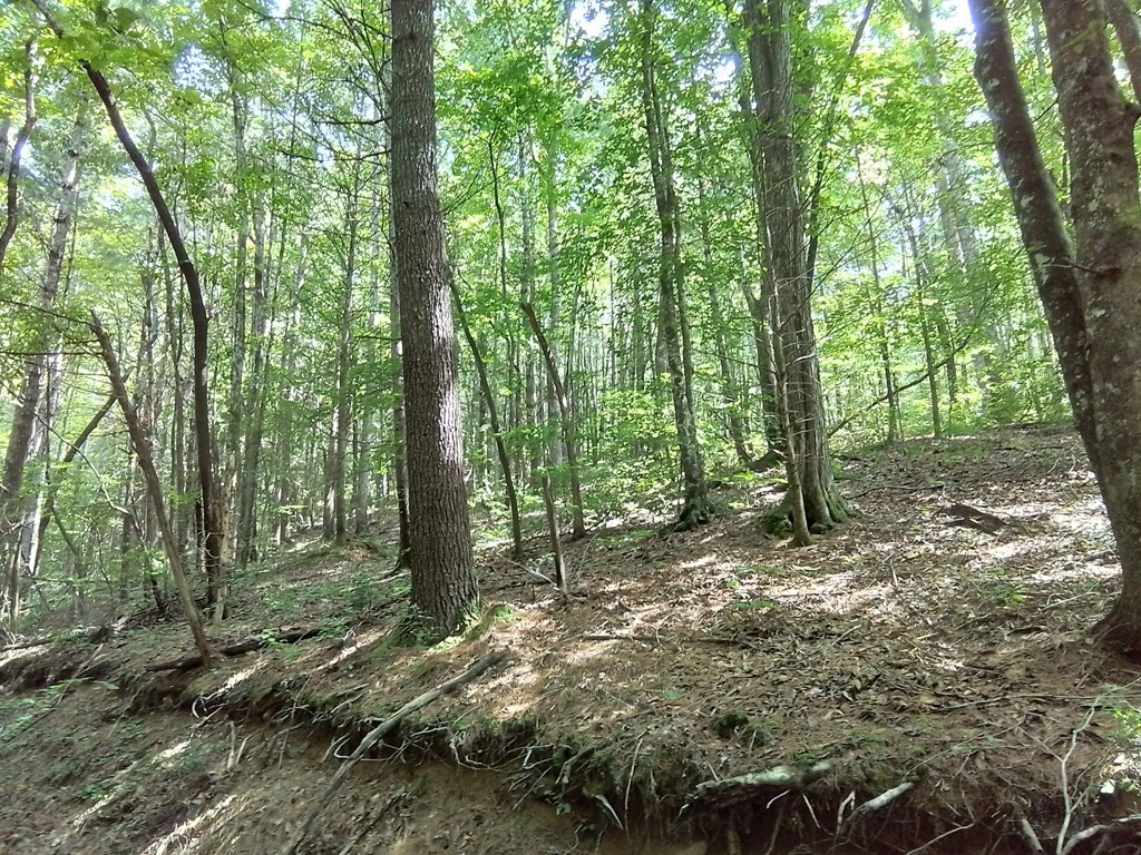 1378s Morrow Road Property Photo 14