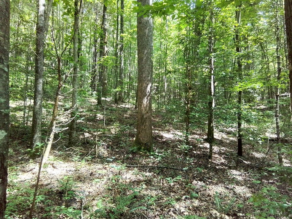 1378s Morrow Road Property Photo 15