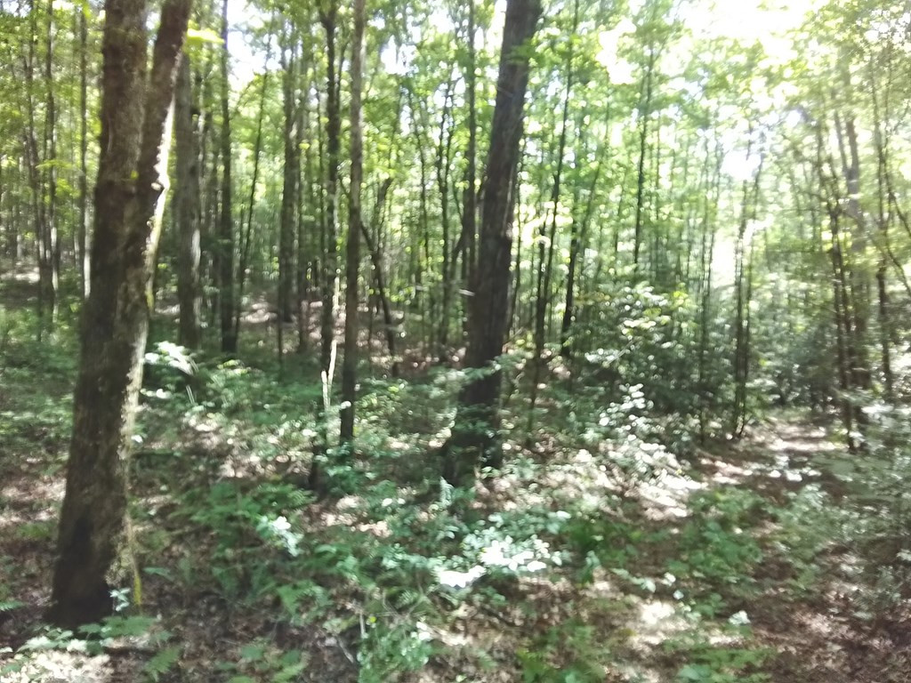1378s Morrow Road Property Photo 16