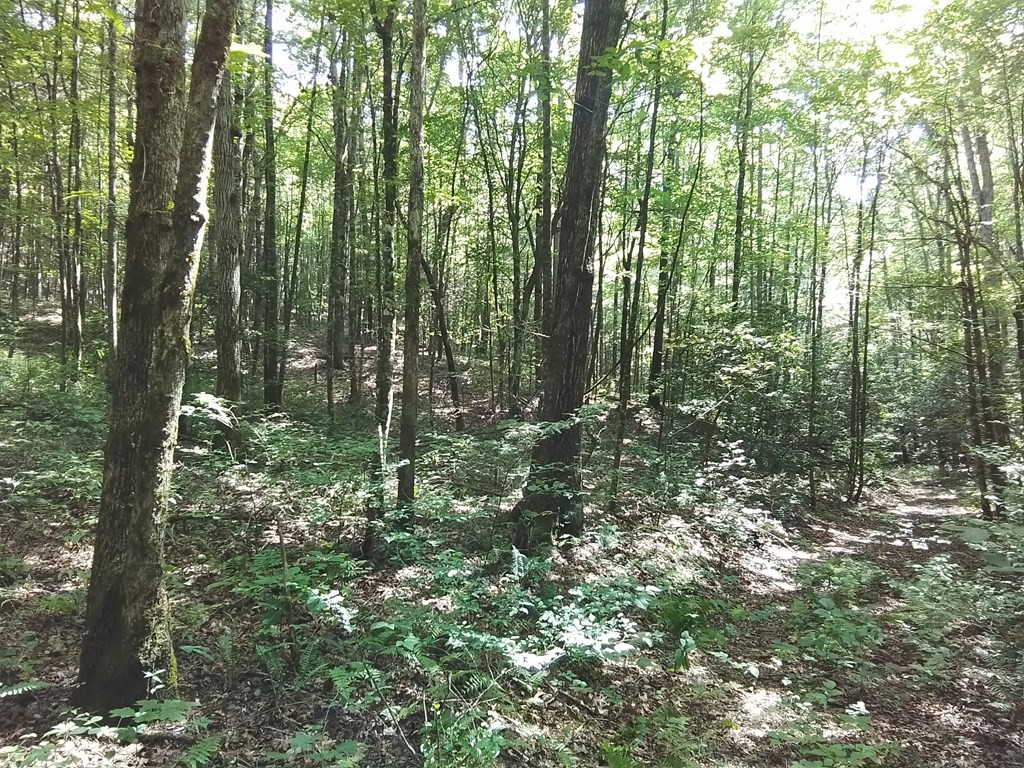 1378s Morrow Road Property Photo 17
