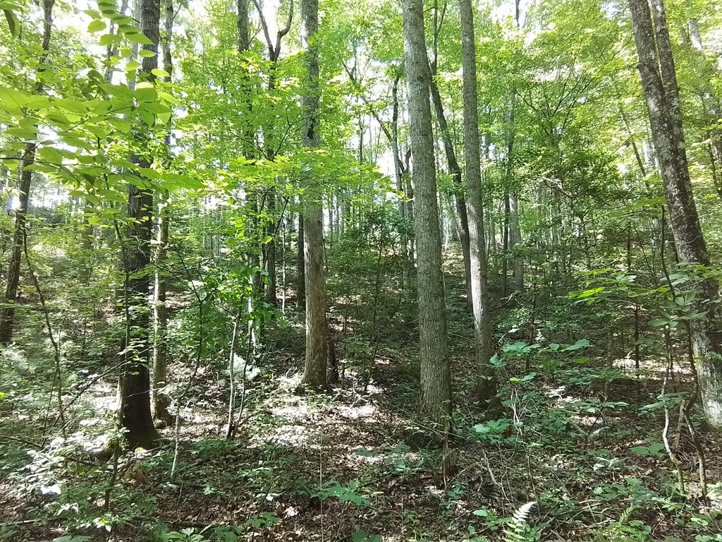 1378s Morrow Road Property Photo 18