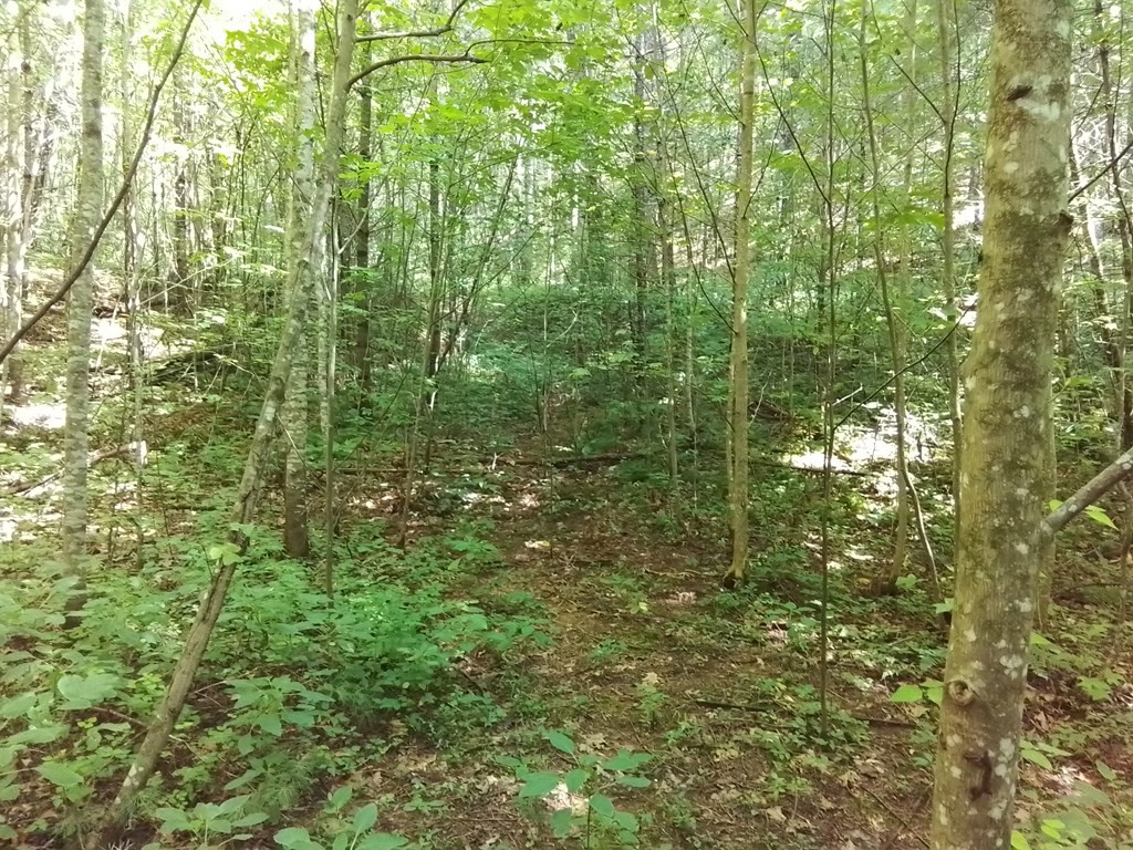 1378s Morrow Road Property Photo 20
