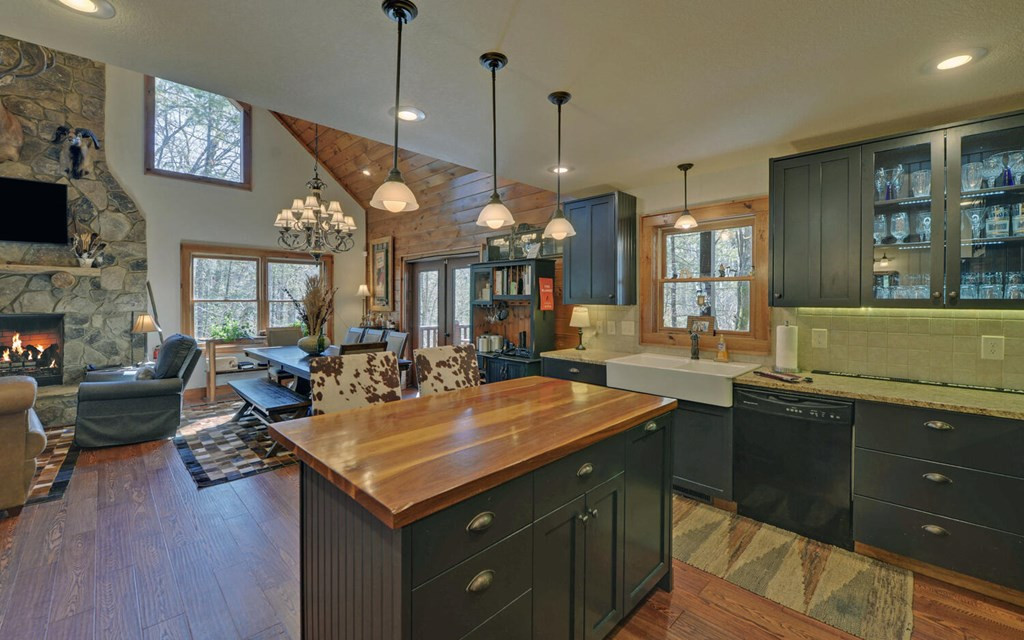483 Vineyard Creek Way Property Photo 8