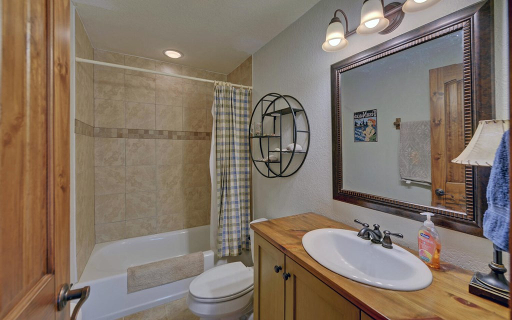 483 Vineyard Creek Way Property Photo 44