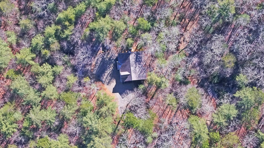 483 Vineyard Creek Way Property Photo 62