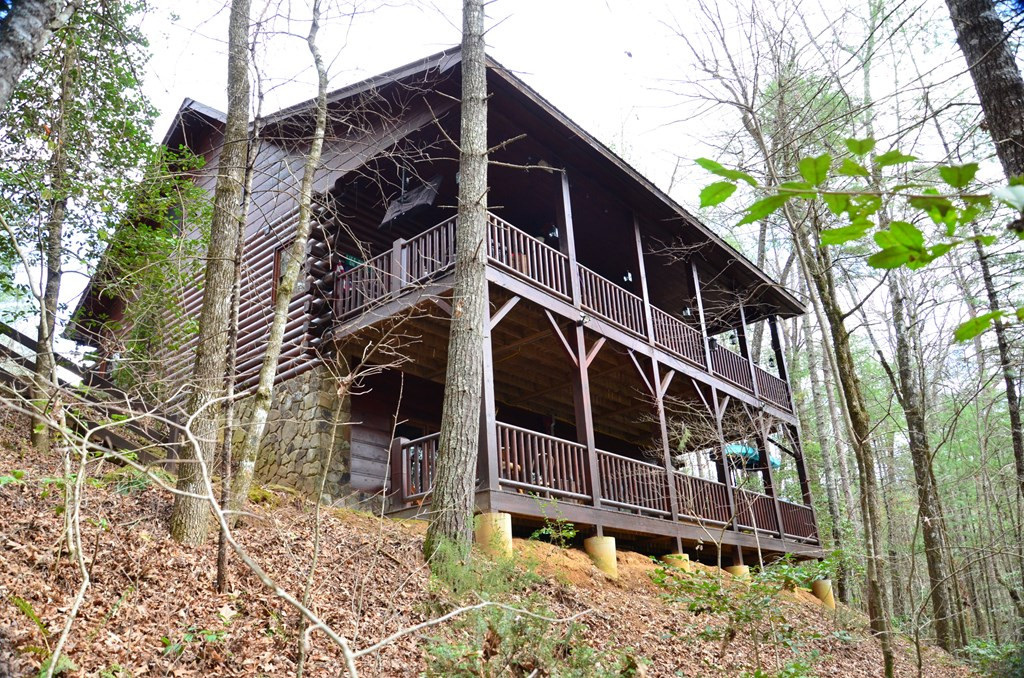 483 Vineyard Creek Way Property Photo 70