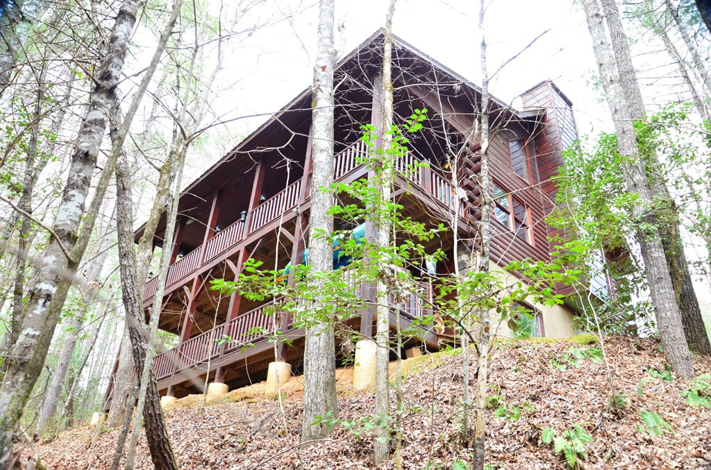 483 Vineyard Creek Way Property Photo 71