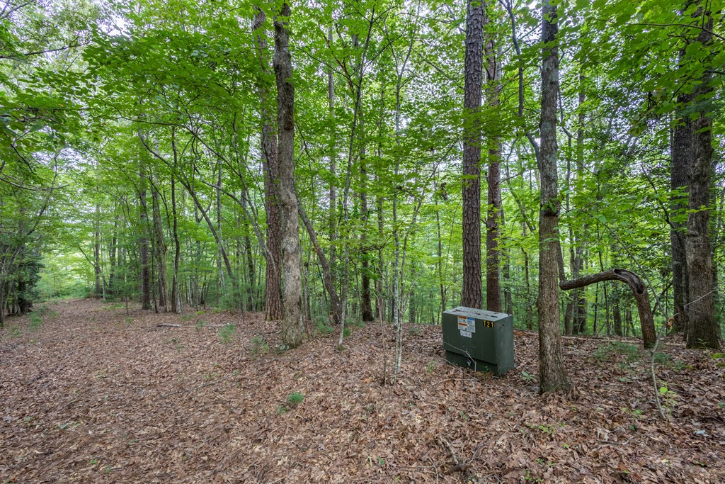 Lot 26 26 Persimmon Road Property Photo 3