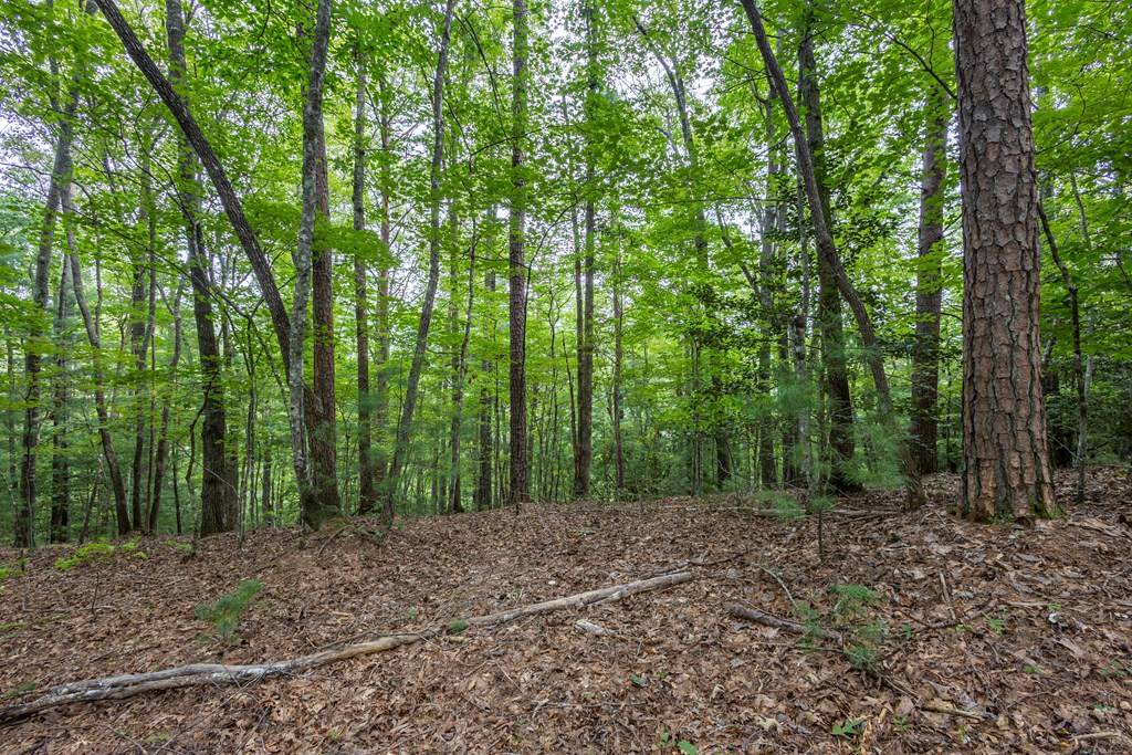 Lot 26 26 Persimmon Road Property Photo 5